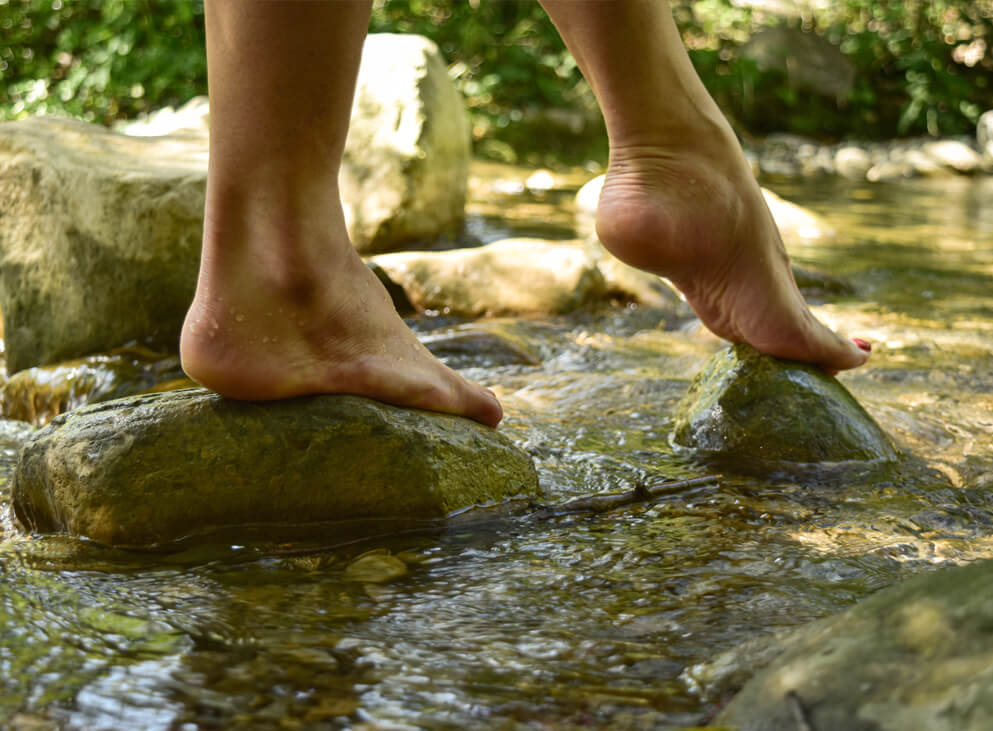 viele Kinder rennen auf einer Wiese